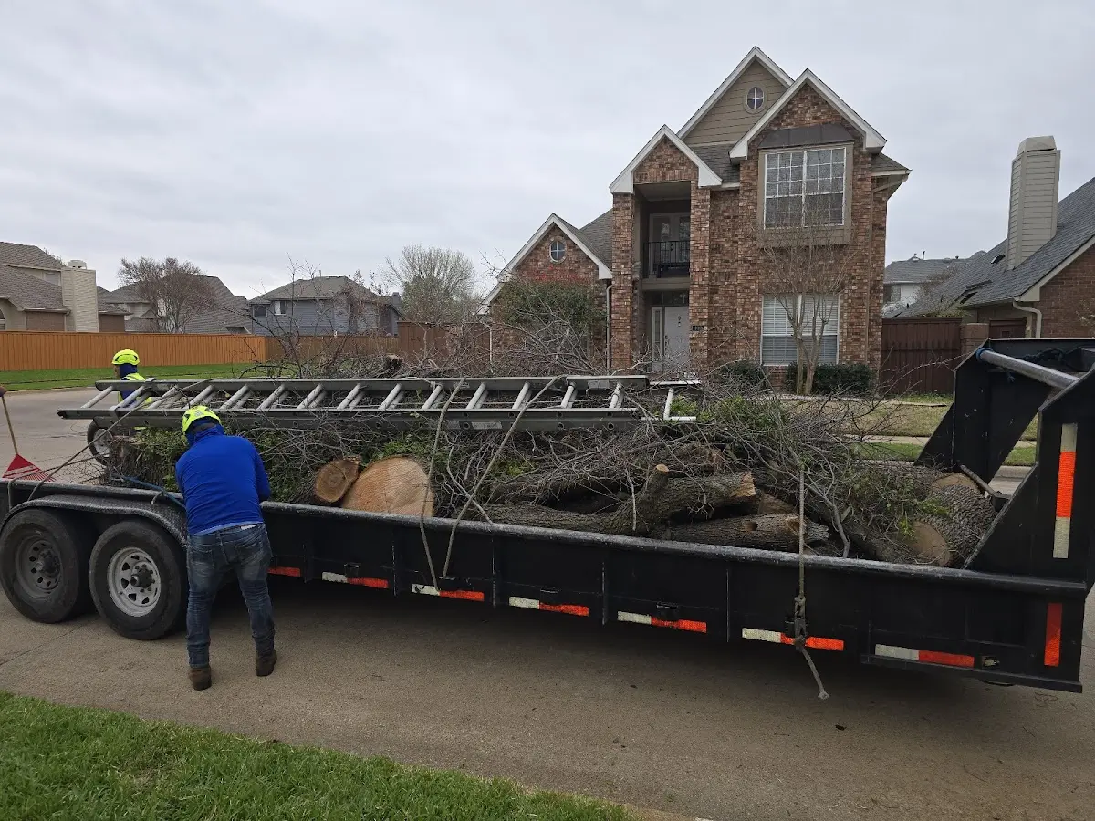 Expert Tree Removal with proper safety equipment in Brunsville